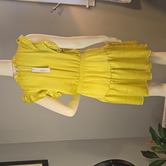 Steve Madden Prairie Dreams Golden Lime Ruffled Mini Dress Size L - Picture 3 of 13